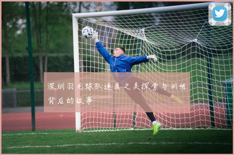 深圳羽毛球队速度之美探索与训练背后的故事