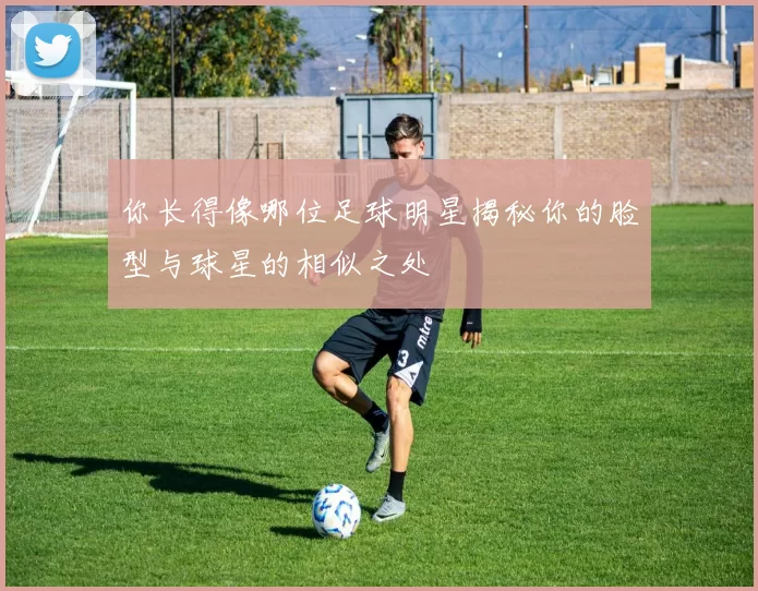 你长得像哪位足球明星揭秘你的脸型与球星的相似之处