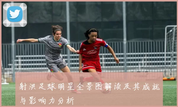 射洪足球明星全景图解读及其成就与影响力分析