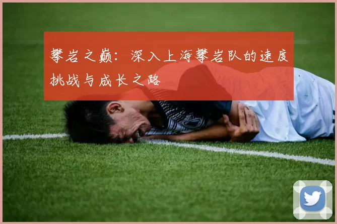 攀岩之巅：深入上海攀岩队的速度挑战与成长之路