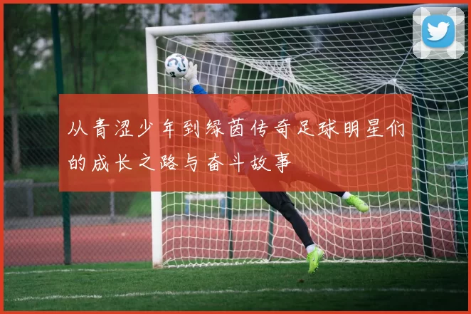 从青涩少年到绿茵传奇足球明星们的成长之路与奋斗故事