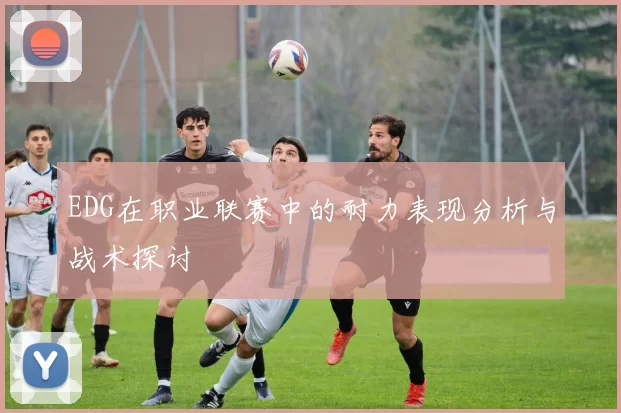 EDG在职业联赛中的耐力表现分析与战术探讨