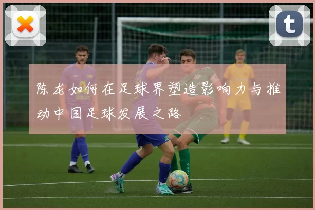 陈龙如何在足球界塑造影响力与推动中国足球发展之路