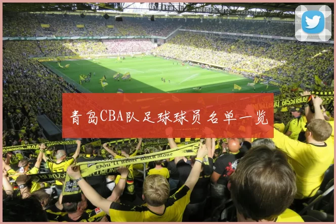 青岛CBA队足球球员名单一览