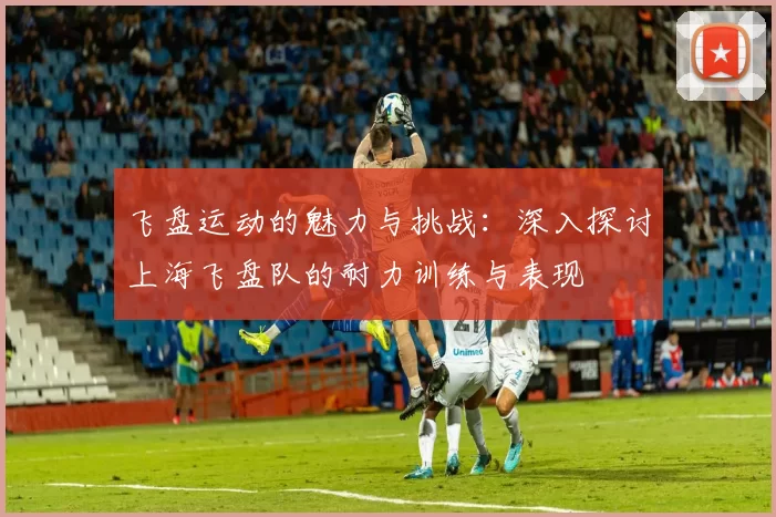 飞盘运动的魅力与挑战：深入探讨上海飞盘队的耐力训练与表现