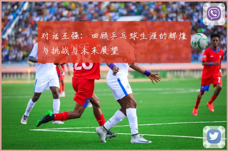 对话王强：回顾乒乓球生涯的辉煌与挑战与未来展望