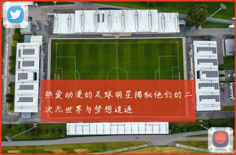 热爱动漫的足球明星揭秘他们的二次元世界与梦想追逐