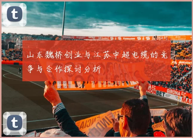 山东魏桥创业与江苏中超电缆的竞争与合作探讨分析
