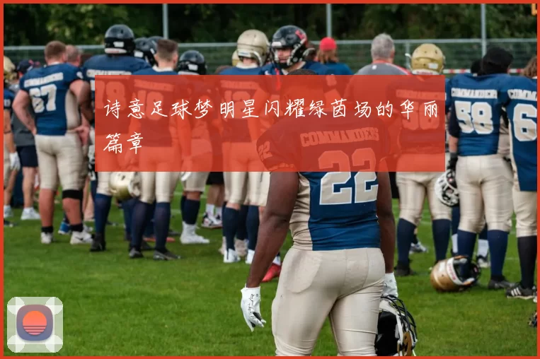 诗意足球梦明星闪耀绿茵场的华丽篇章