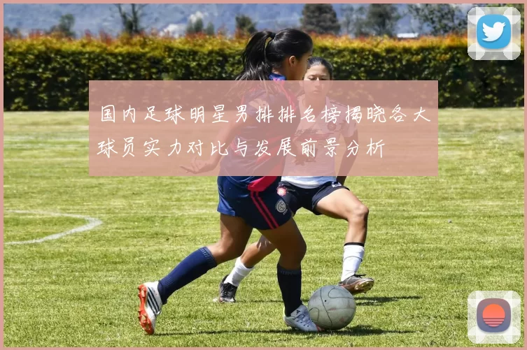 国内足球明星男排排名榜揭晓各大球员实力对比与发展前景分析